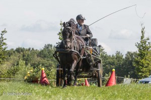 dressuur en vaardigheid  nienoord 10-8-2015  joshua keller-0565        